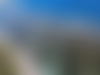  Vue sous-marine de la barrière de corail en Guadeloupe, avec ses coraux colorés et ses poissons tropicaux dans les eaux cristallines de Grande-Terre.