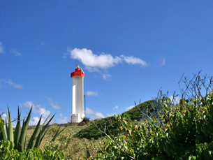 Découvrez La Désirade avec l'expertise de Woulé Gwada La Désirade, véritable sanctuaire de l'archipel guadeloupéen, s'offre aux voyageurs en quête de déconnexion totale. Loin des circuits touristiques classiques, cette île sauvage se distingue par son authenticité brute et ses paysages géologiques uniques, classés au Géoparc mondial de l'UNESCO. Pour transformer cette escapade en une expérience d'exception, Woulé Gwada vous accompagne en vous mettant en relation avec des prestataires locaux de confiance. Que vous souhaitiez explorer les sentiers du Morne du Souffleur, savourer une langouste grillée face à l'océan ou parcourir l'île à vélo, nous facilitons votre immersion dans ce havre de paix. Choisir Woulé Gwada, c'est s'assurer d'un équilibre parfait entre l'aventure sauvage de La Désirade et la sérénité d'un séjour parfaitement organisé.