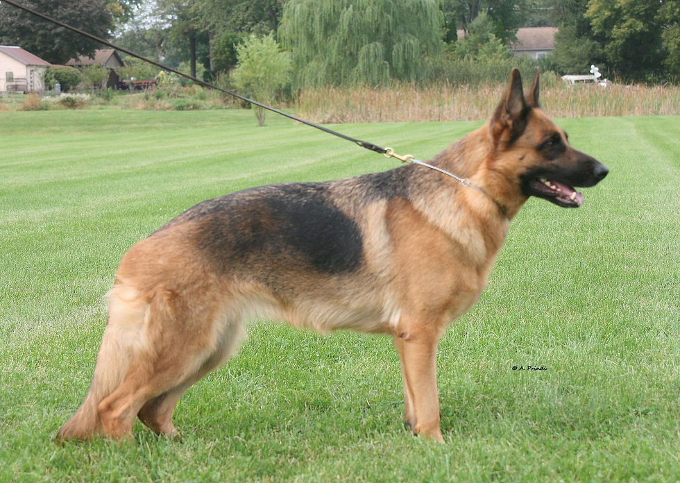 Zoey 9.2020