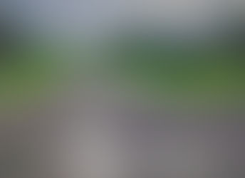 La Fundación Ética Prevención Y Tratamiento Infantil Y Familiar Para La No Violencia. 