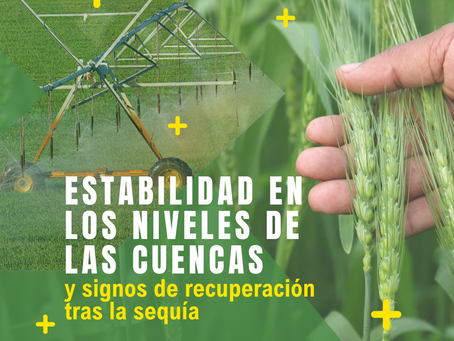Signos de recuperación tras la sequía