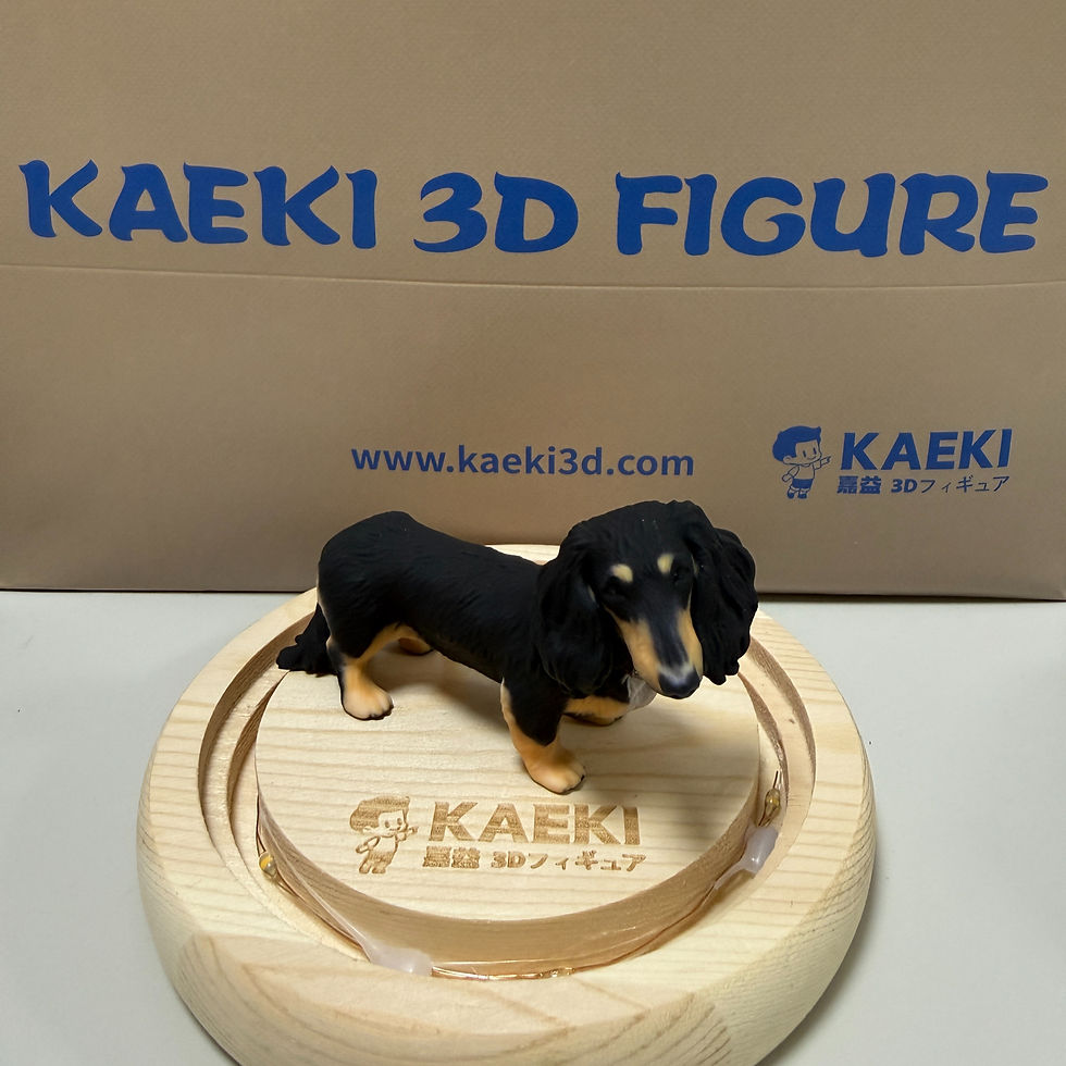 愛犬1周年記念の特別な贈り物