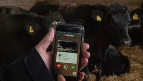 Nice Utters / Swipe Right... Nice Downward Dog / Swipe Right : Welcome to SwipeLife 2019