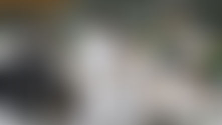 The Detroit Tigers will start trying again in 2021 (maybe)