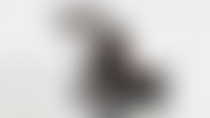 Go IN to work, or snow blow the driveway: that is the question