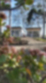 Succulents in flower with our garden rooms behind.