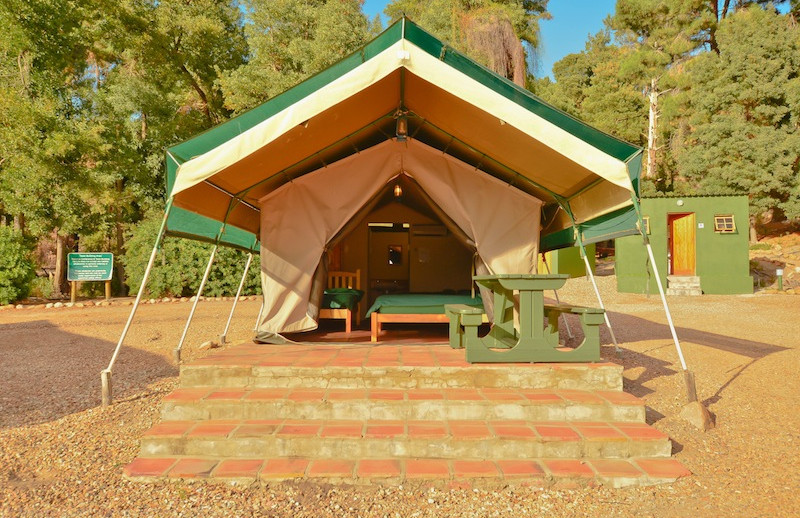BUSH CAMP TENT OUSIDE 