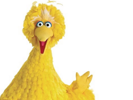 website in the making