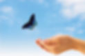 2020-06-25_edited.jpg