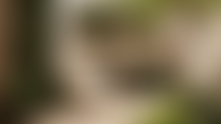 Tejiendo la Naturaleza en el Diseño de Interiores este Verano