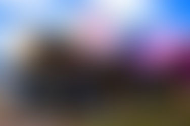 Experiencias sin alma