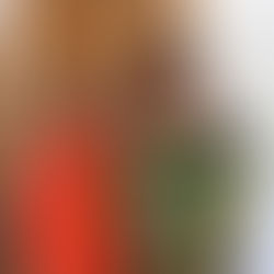 20- jähriges Dienstjubiläum unserer Pflegedienstleiterin Monika Jansen