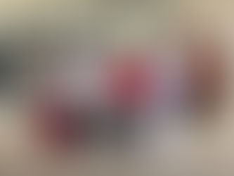 SONAGAS GE CLAUSURA EL PERIODO DE PRÁCTICAS DE DE LA ASHO.