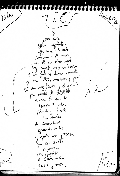 POEMA FINAL.png