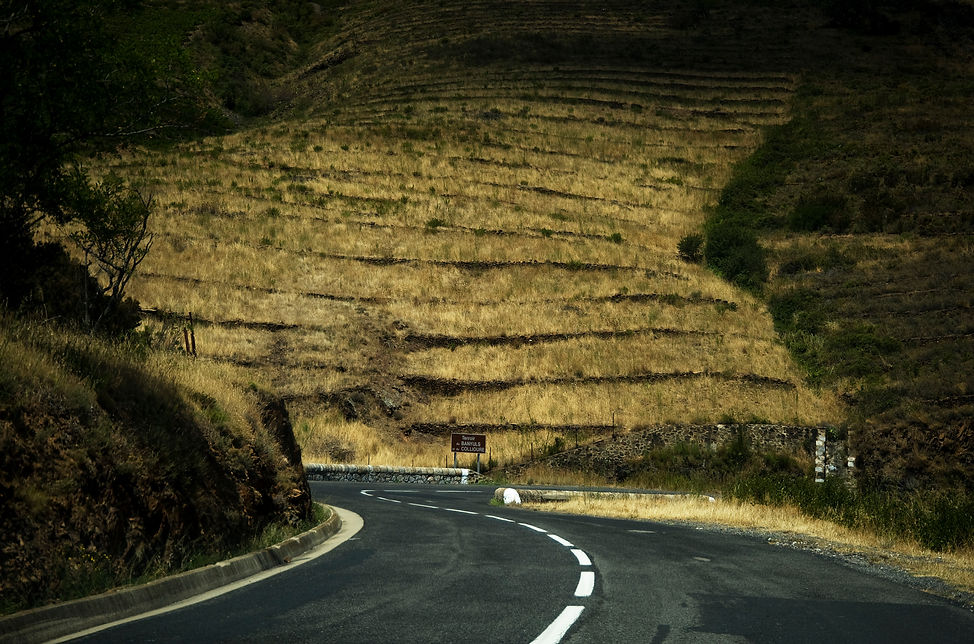 tao on the road 3.jpg
