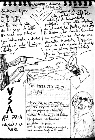 5AZAROA 05.png
