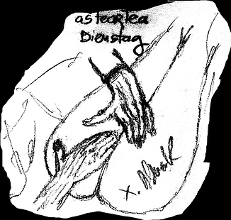 4 MARTOAK 04 1.png