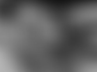 A home on a roof, 1982