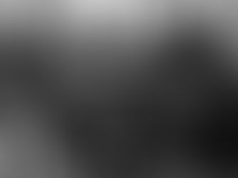 The Lamartine Cedar, 1951