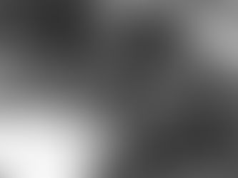 Letter from Vietnam, 1968