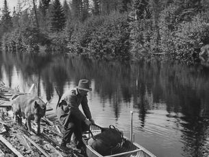 The Apprentice, 1953