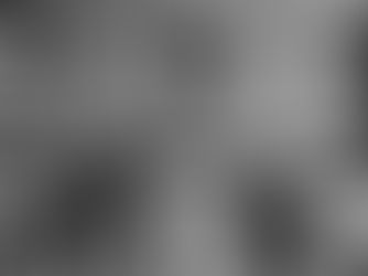 The Words of Democracy, 1940