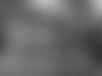 The Weeping Oak, 1955