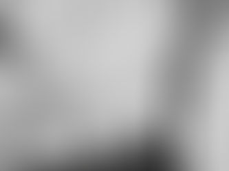 The Forest and the Desert, 1960