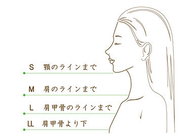 髪の長さ.jpg