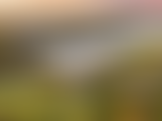 Inside the ultra-luxury equestrian and golf club community coming to Wellington