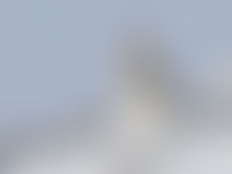 Image of the Year 2025