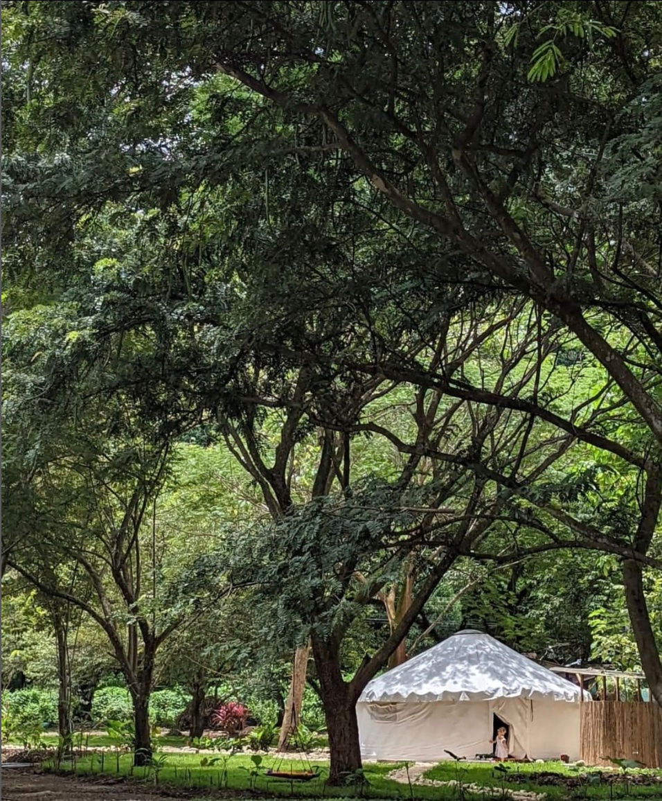 dandelion yurt.jpg