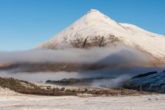 Winters Morning by Irene Cooper