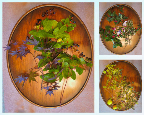 Trio of Tabled Wildness From My Late Mother's Garden by Charlie Allison
