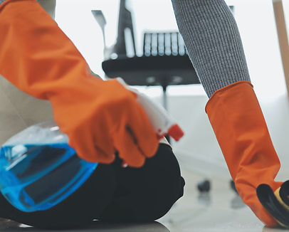 vecteezy_woman-cleaning-table-using-rag-and-diffuser-at-home_49616568_edited.jpg
