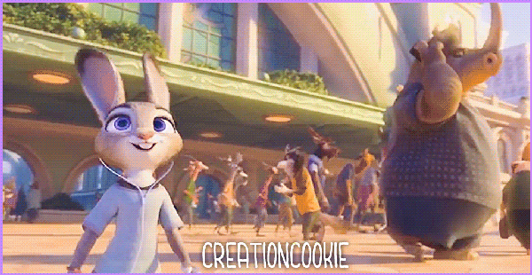 3311693870_1_5_VvXD2PSD.gif