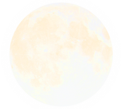 Untitled design (17).png