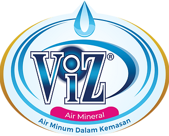 LOGO VIZ