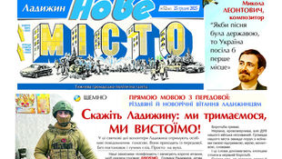 Межі допустимого: як суди Вінниччини відрізняють критику від наклепу