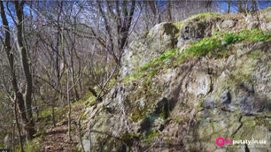 Спартак : закинуті хащі в самому серці міста