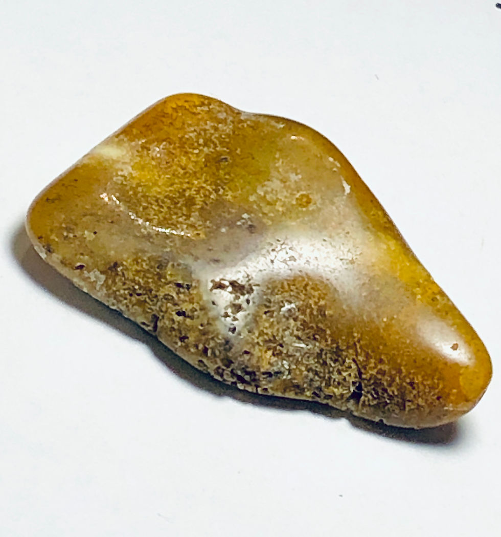 Thumbnail: Amber - Old Dark Brown - 1  Count