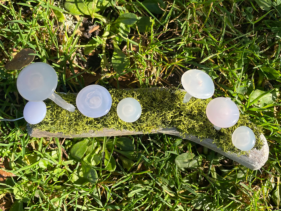 Thumbnail: Mushroom light - Hidden Rainbow
