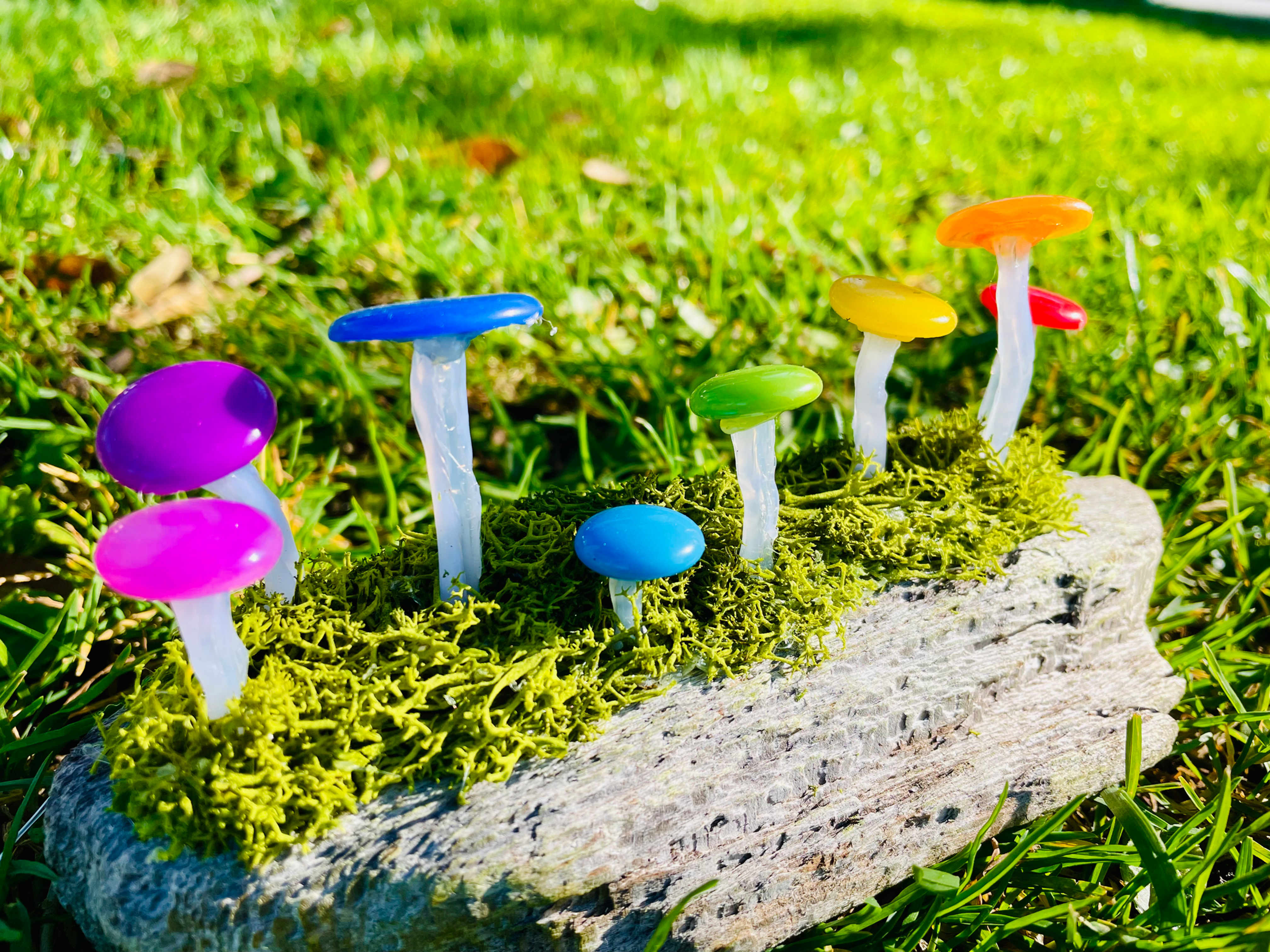 Small Rainbow Mushroom light