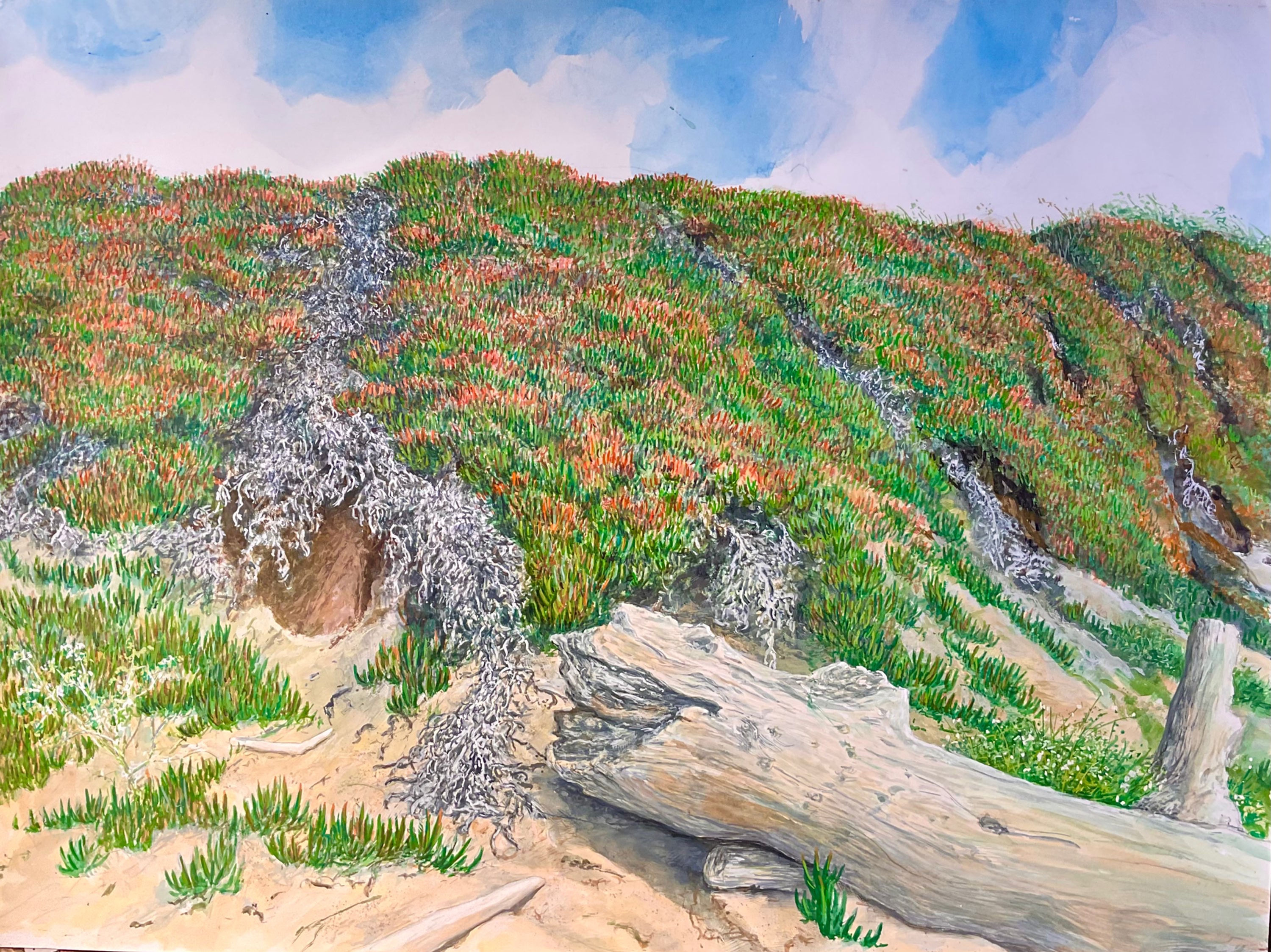 Dunes and Ice Plant - Original Watercolor