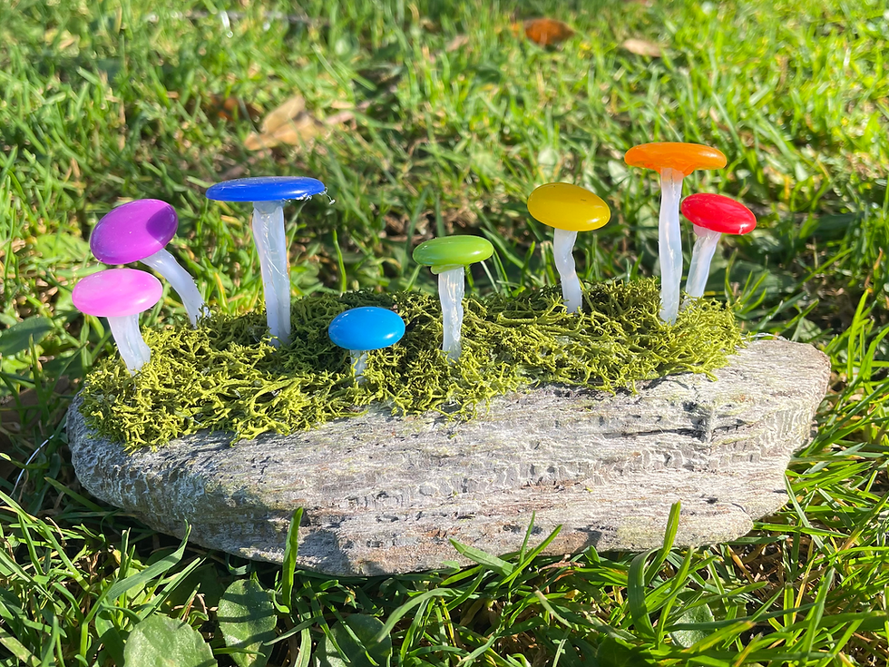 Thumbnail: Mushroom light - Small Rainbow