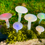 Thumbnail: Secret Rainbow Mushroom light