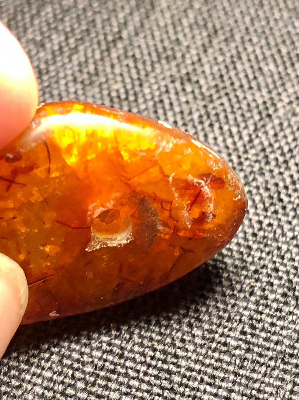 Thumbnail: Amber- Brown with Inclusions - Lrg. -1 Count 