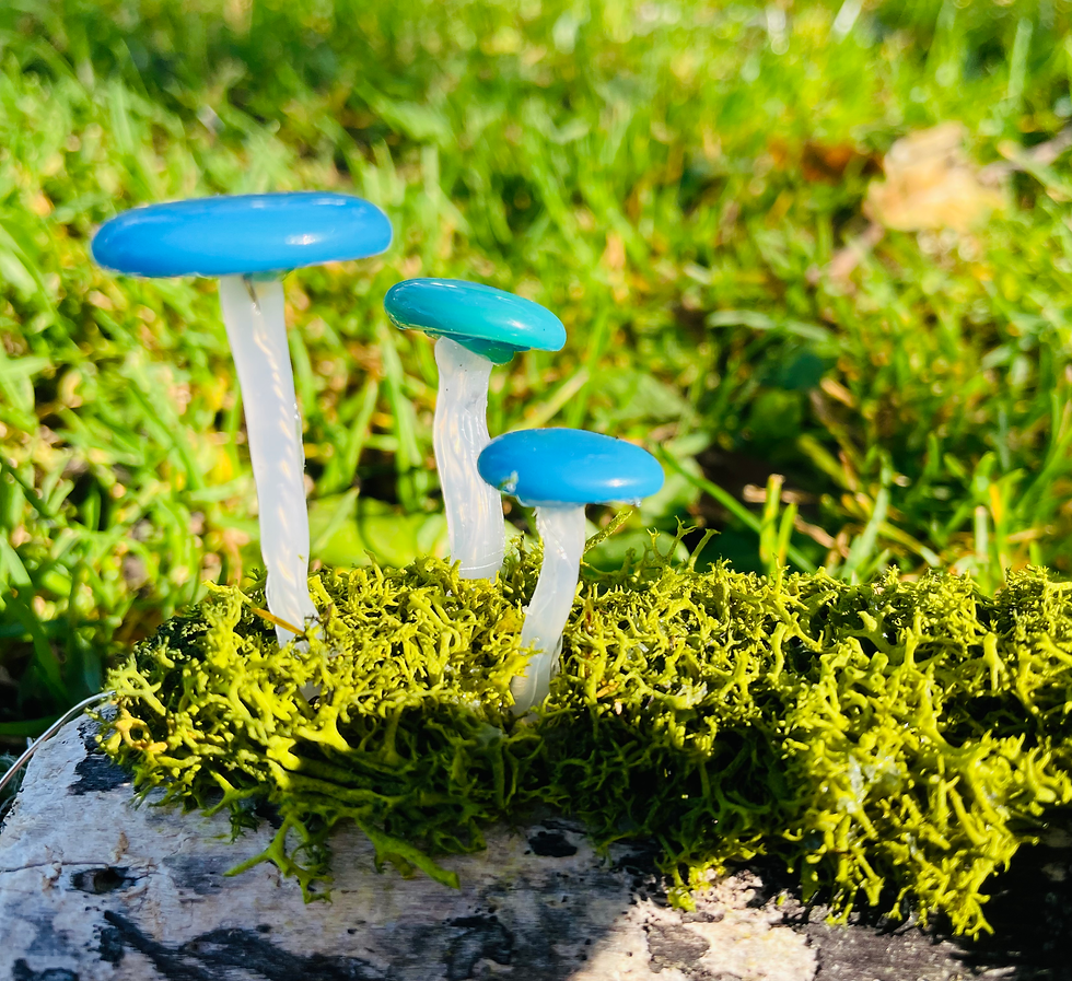 Thumbnail: Mushroom light - Hawaiian Water