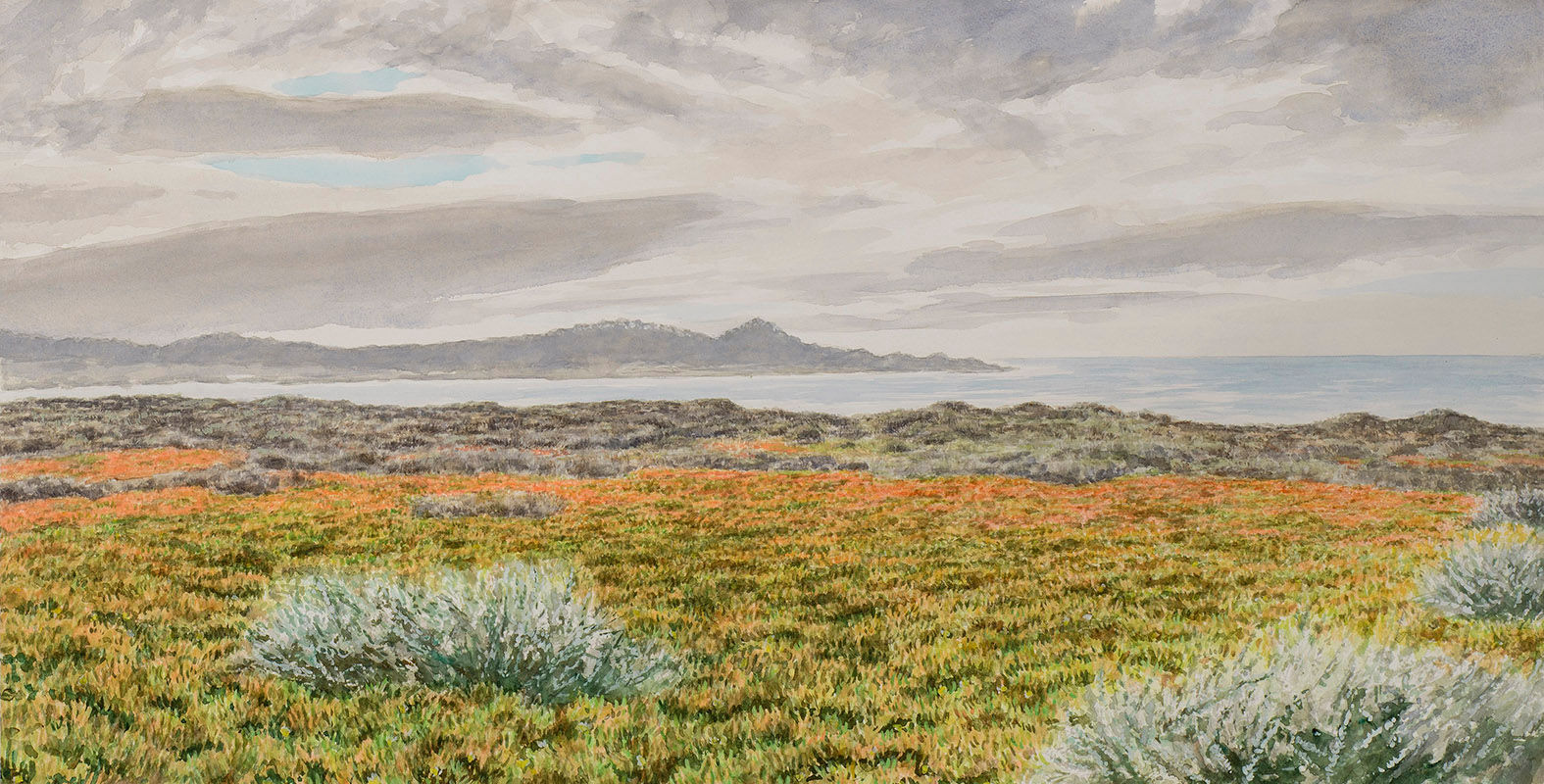 Point Lobos Ice Plant - Original Watercolor