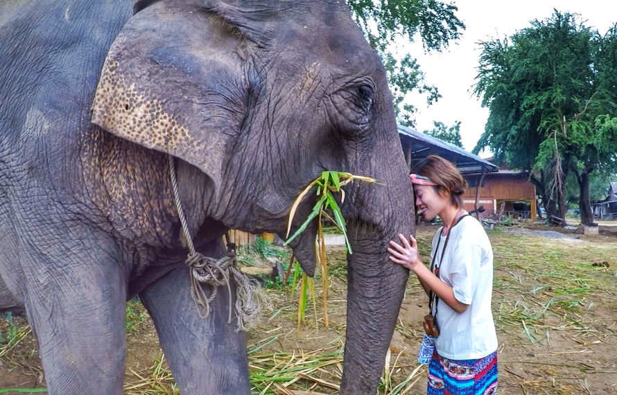 Thailand Kanchanaburi Elephants World 2D1N 泰國北碧府 大象世界 兩天一夜大象志工體驗營